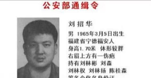 刘招华制毒案视频,刘招华制毒大案纪实