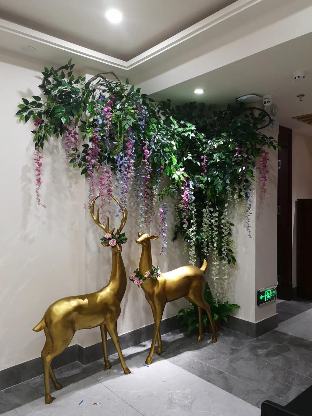 蒋平个人视频,蒋平感悟人生