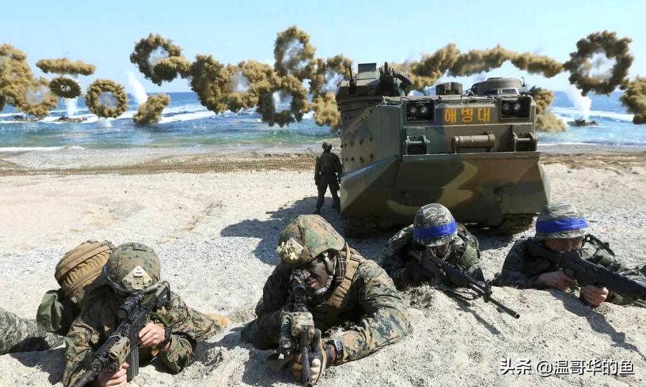 隔海相望的韩国海军概况