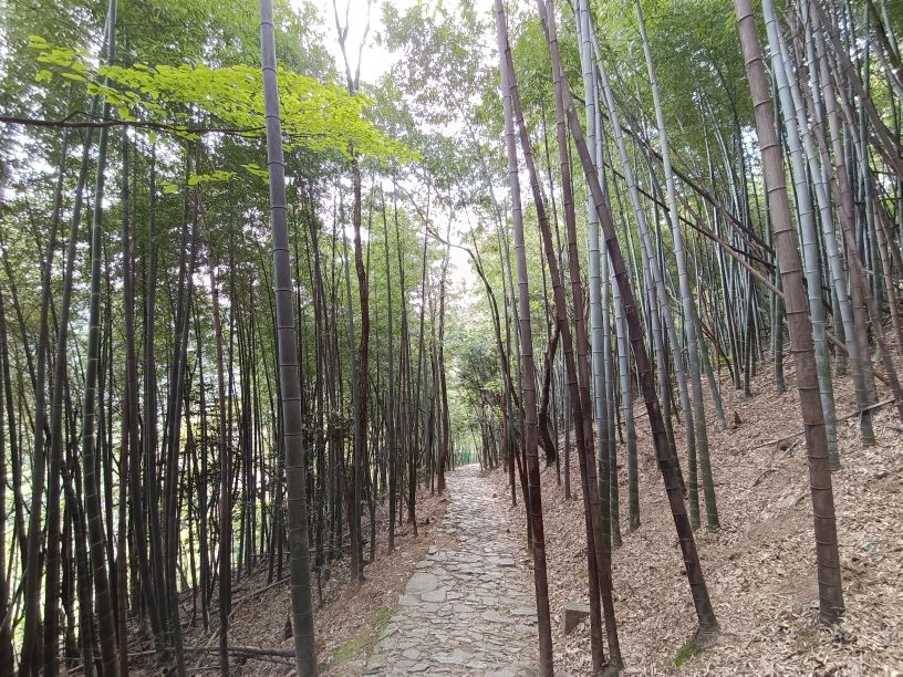苏州第一高峰穹窿山,苏州最高的山穹窿在哪里