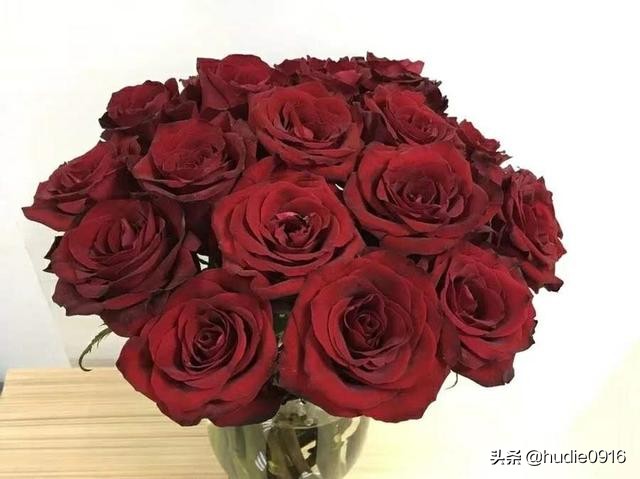 各色玫瑰寓意和花语一样吗,各色的玫瑰花代表什么