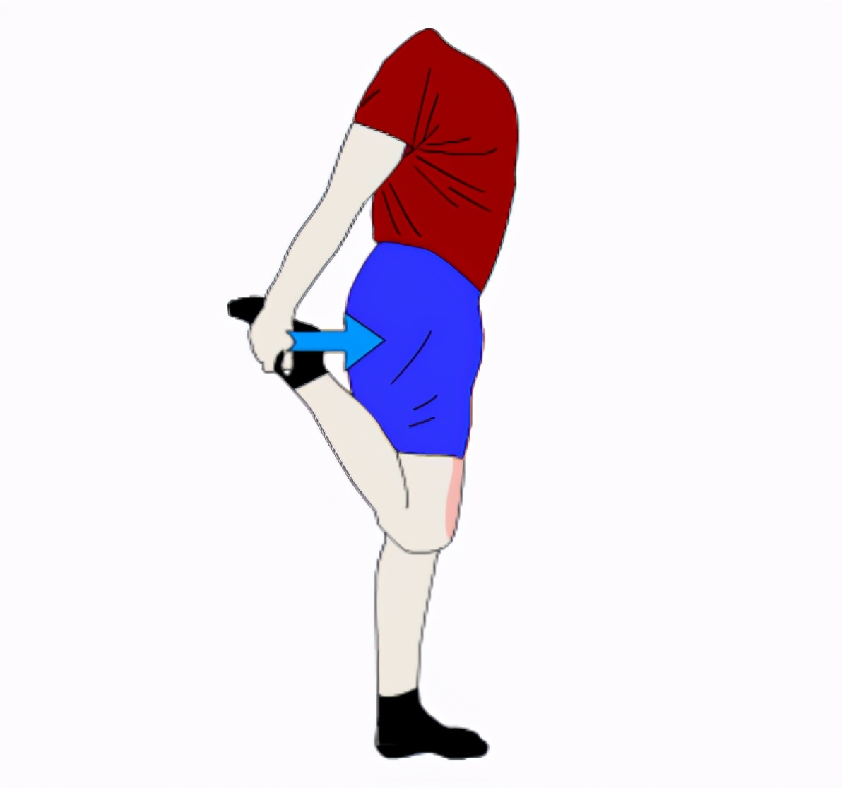 谈“骨”论“筋”|膝盖又疼了?来教你几个康复锻炼方法