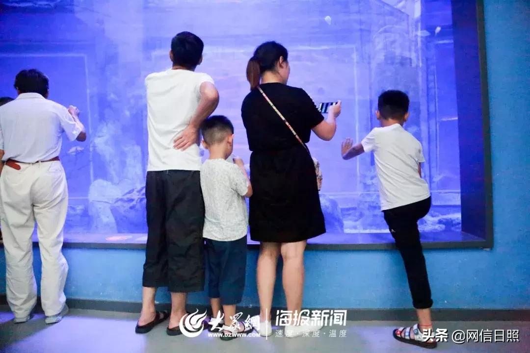 全是东北人的海边,日照海边下饺子