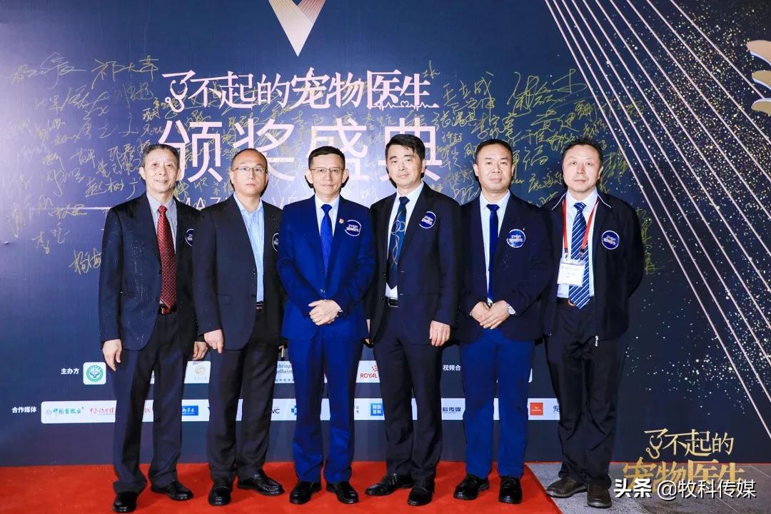 初心如磐笃行致远中国人寿,初心如磐笃行致远军训落幕篇