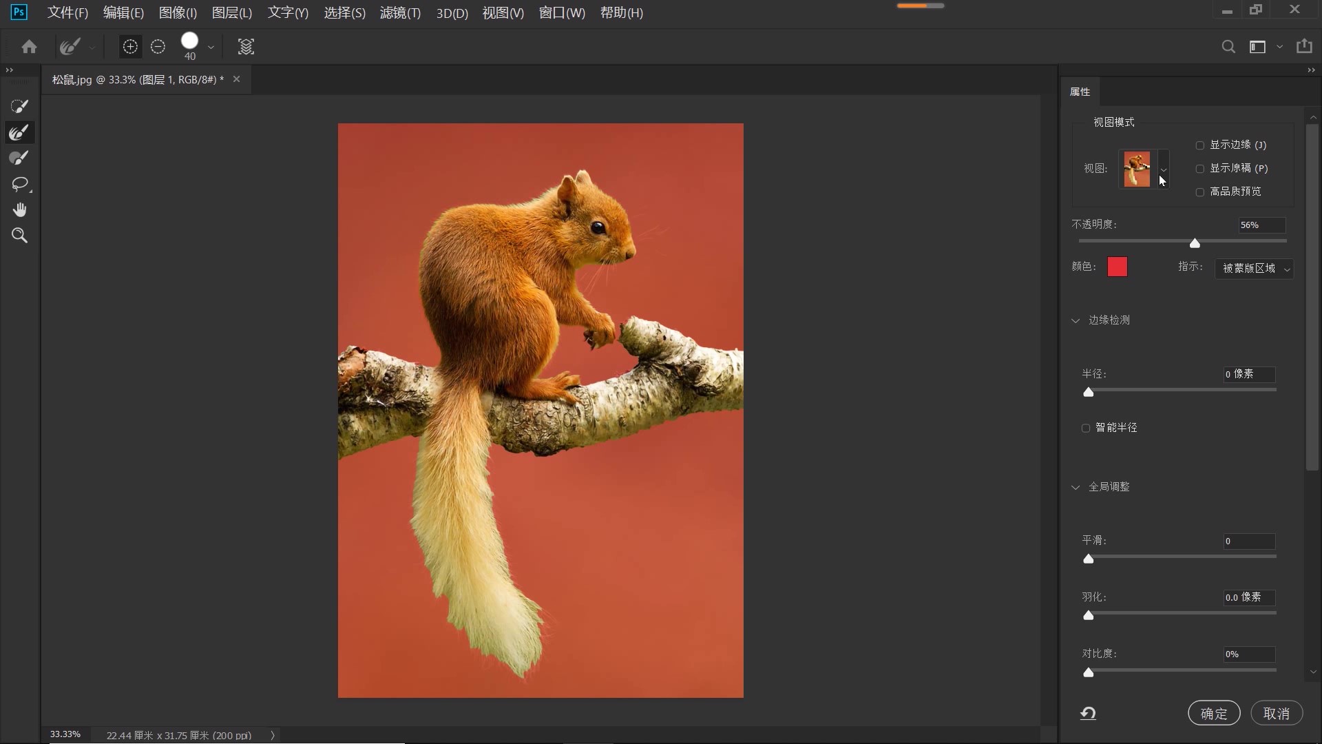 ps抠图动物最快又完整的方法,ps抠图教程动物毛发新手