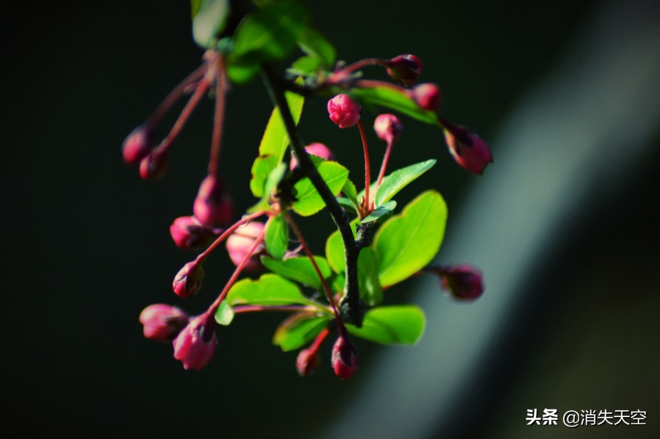 合肥杏花公园,合肥杏花公园相亲每周时间安排