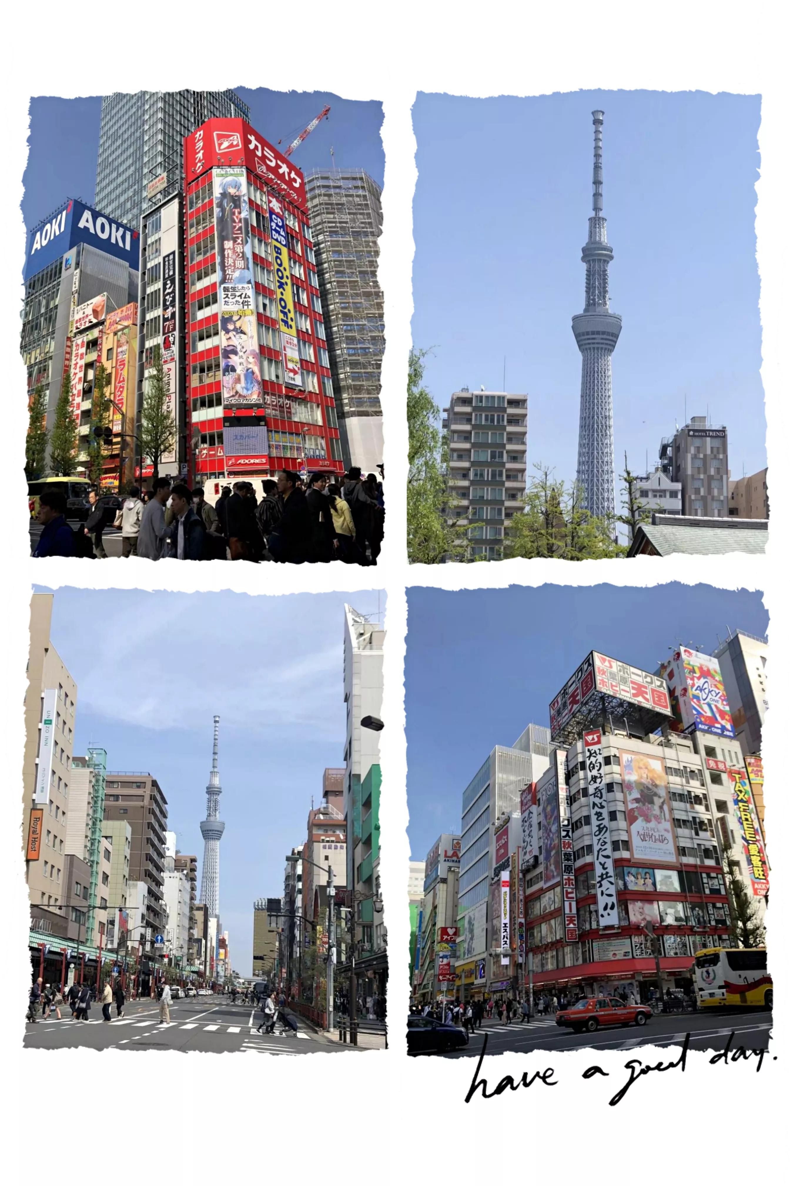 浪漫樱花舞完整版,浪漫樱花28步