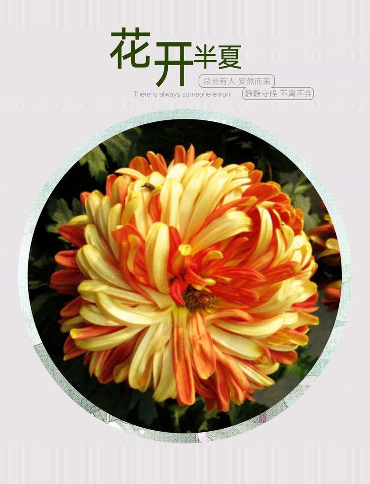 深秋的思念歌曲原唱,深秋的思念散文诗