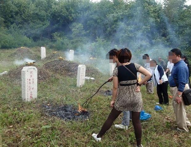 坟前有枯树必须迁坟吗,坟前枯树须迁坟