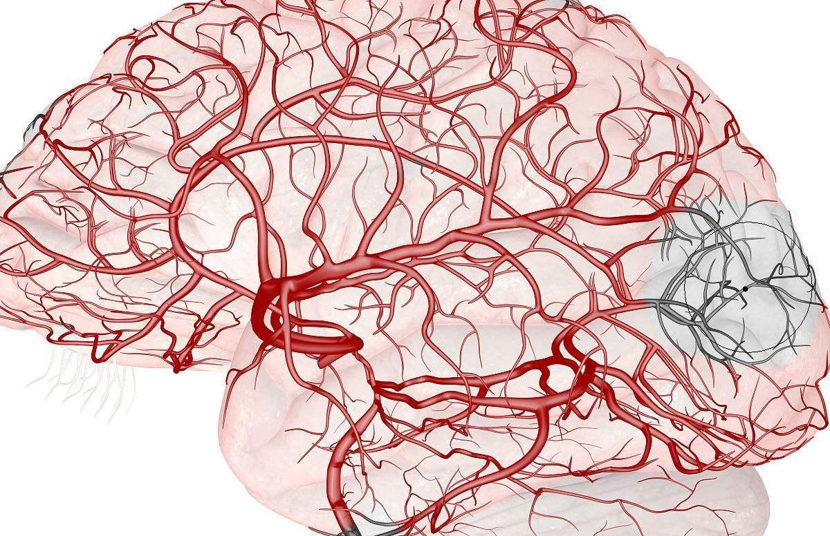放射性脑损伤是一个渐进过程,起病隐匿,诊断困难,患者需注意
