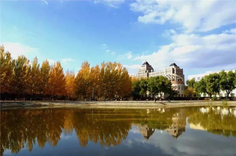 哈尔滨广厦学院蜜雪冰城,北国风光哈尔滨