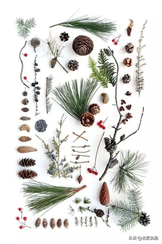 超简易手工环创,树干手工制作环创