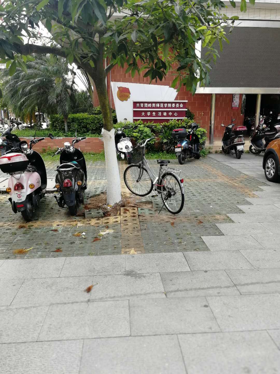 岭南师范学院分数线,岭南师范学院专业组