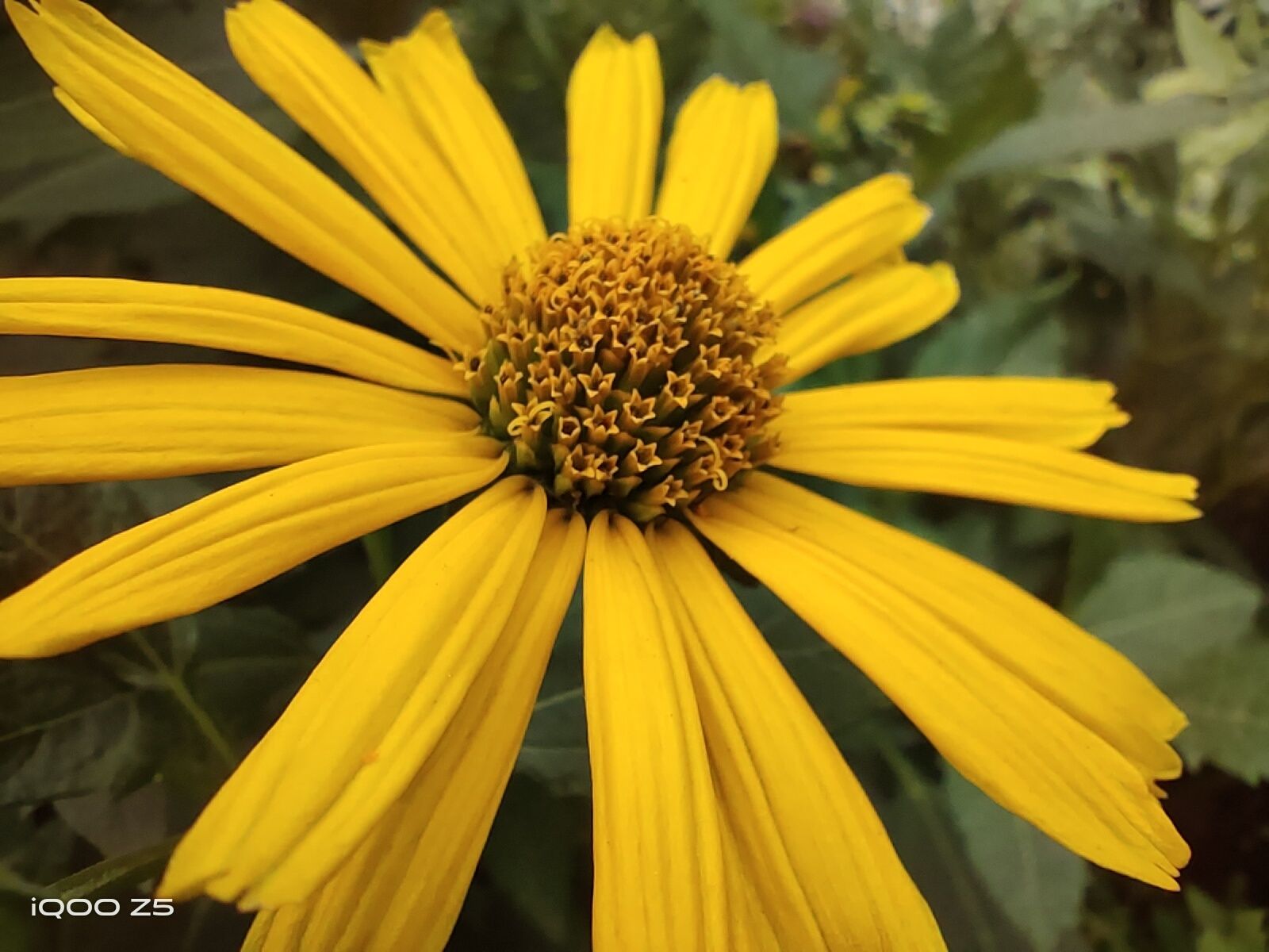 iqooz5评测拥有旗舰级满血性能,iqooz5全方面测评