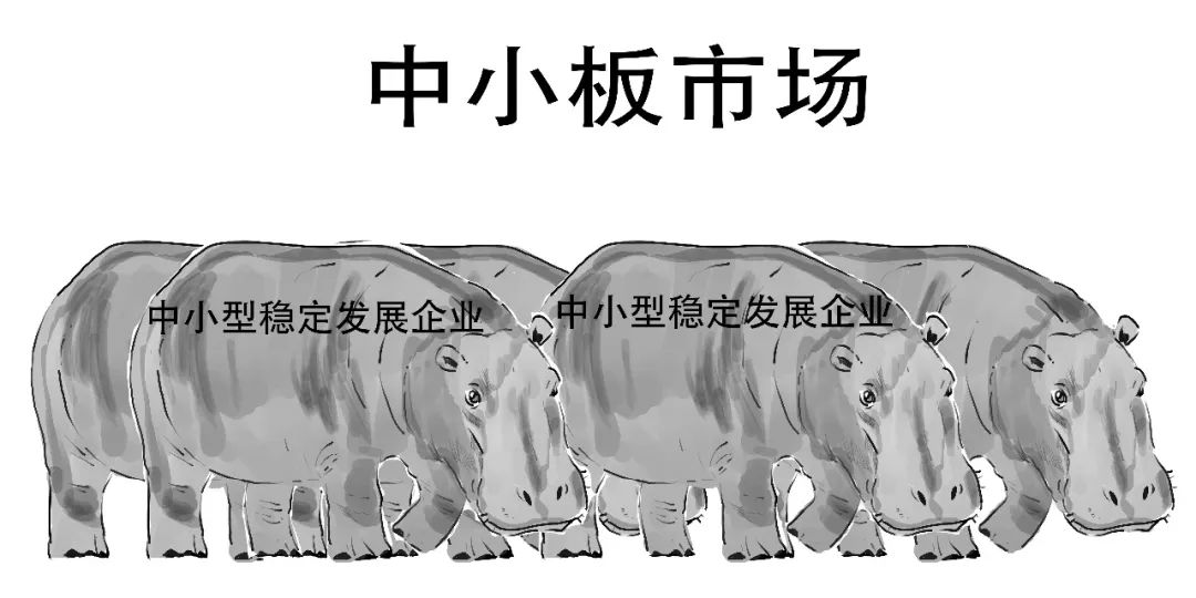 创业板注册制是什么时间开始的,创业板注册制是怎么规定的