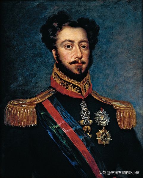 巴西帝国皇帝佩德罗二世,巴西帝国皇帝佩德罗心脏