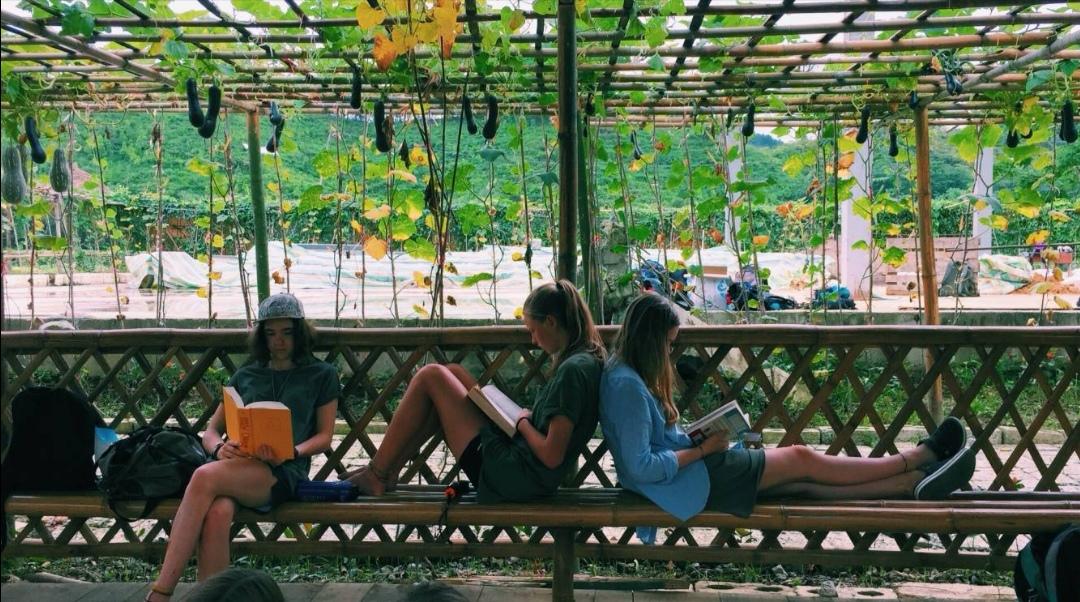 华德福简介,华德福故事