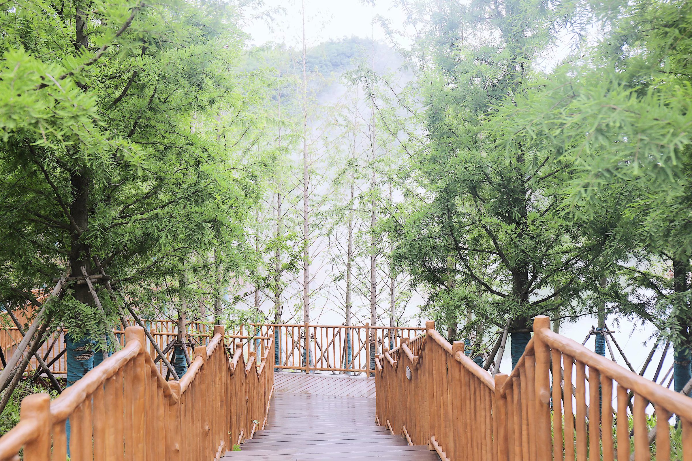 苏州乐园森林水世界几月份开始,乐园森林世界手游攻略