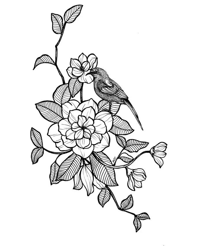 高级线描画花卉大全,花卉线描100种