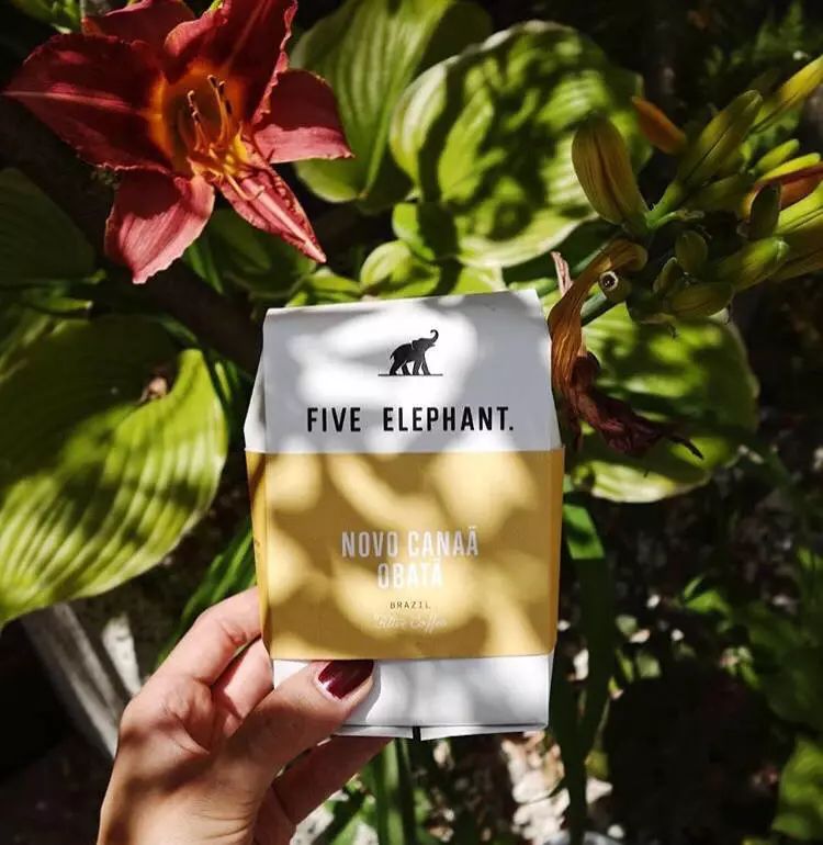 成都咖啡排行榜前十名,咖啡图鉴大全电子书