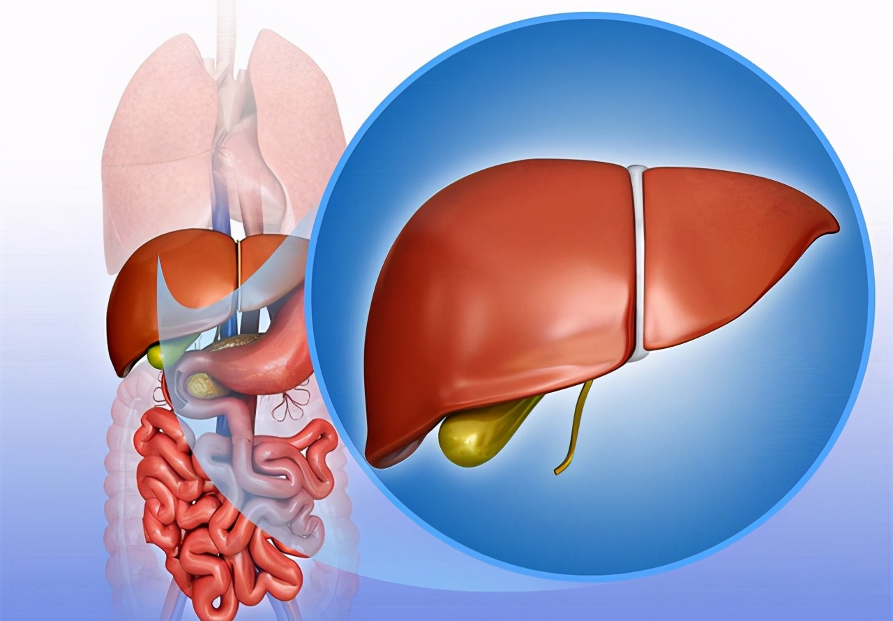 淤胆型肝炎为药物性肝病，其病程迁延难愈，严重威胁着患者的健康