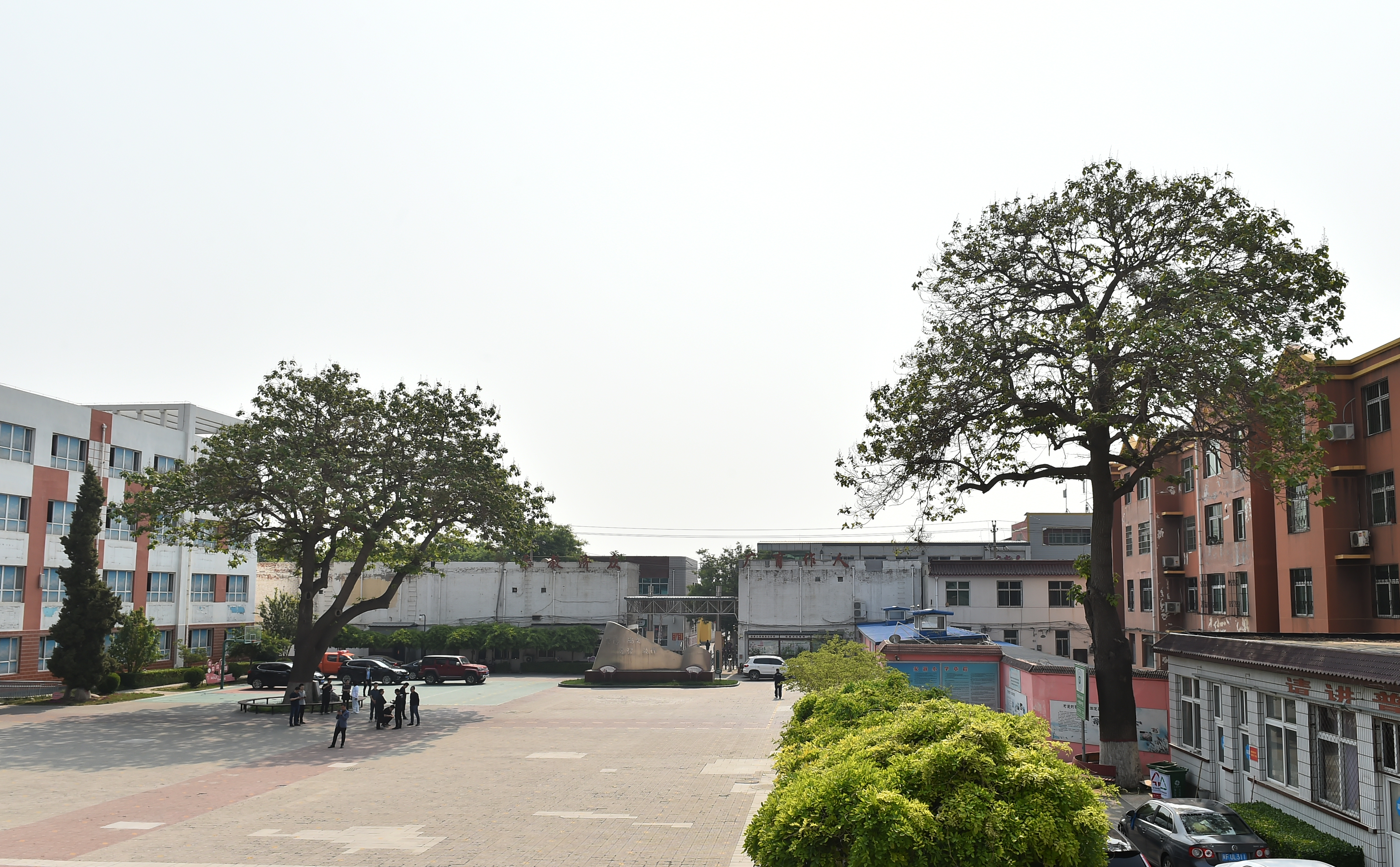 安新第二小学,绿树成荫倪邱中学校园