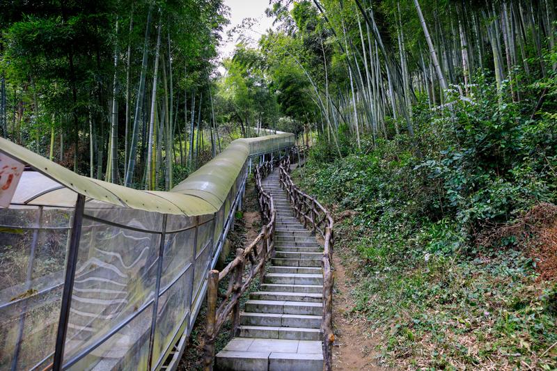南昌月亮湾一日游最佳攻略,南昌月亮湾旅游攻略和自驾游攻略