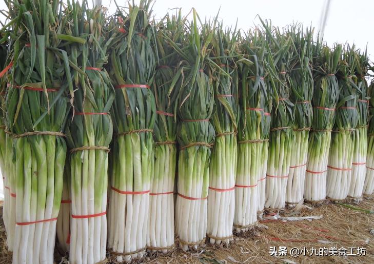 16种常见蔬菜的挑选,14种常见蔬菜挑选技巧