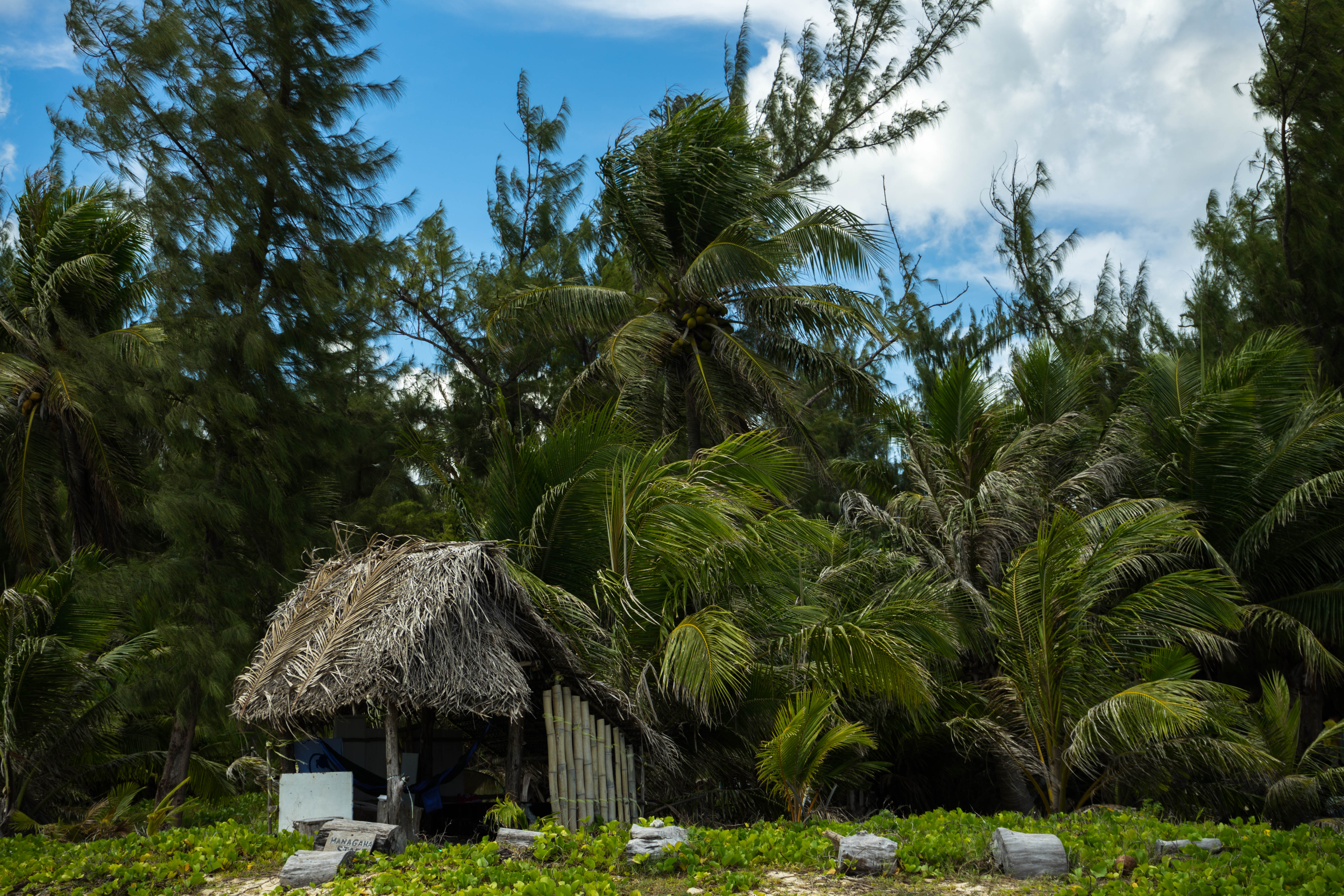 塞班岛蜜月自由行攻略,塞班蜜月旅行攻略