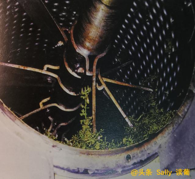 红酒在酒庄经历了什么?争议如此大?朱广权式幽默告诉你