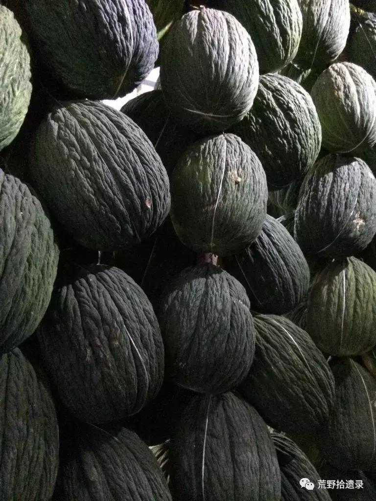 四川适合种植哈密瓜甜瓜品种,甜瓜种植技术新疆哈密瓜