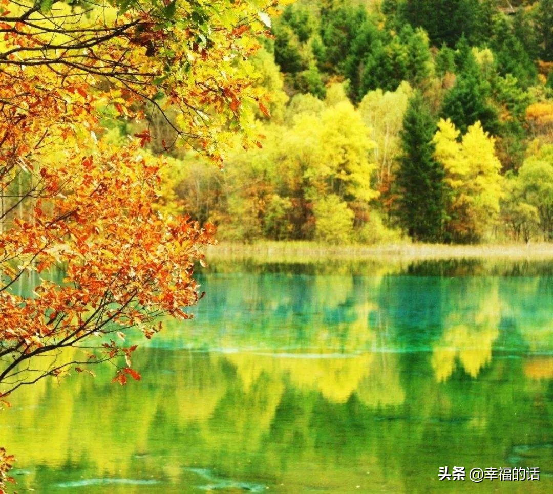 6月到了，送你6花6蝶6鸟6景6曲6诗，这月顺顺利利。