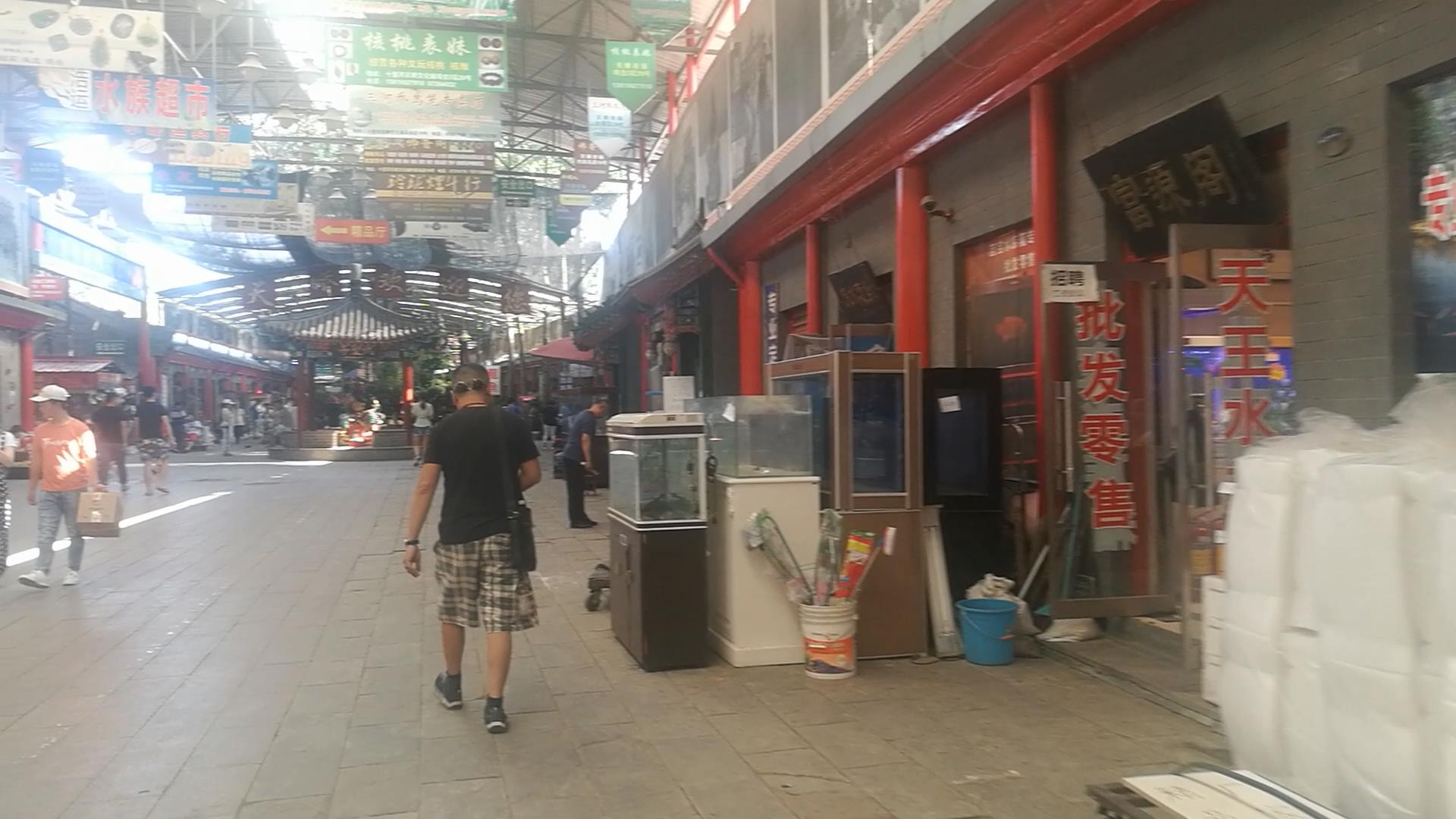 北京十里河鱼市,都说它拆了,我却看到了综合性的水族市场