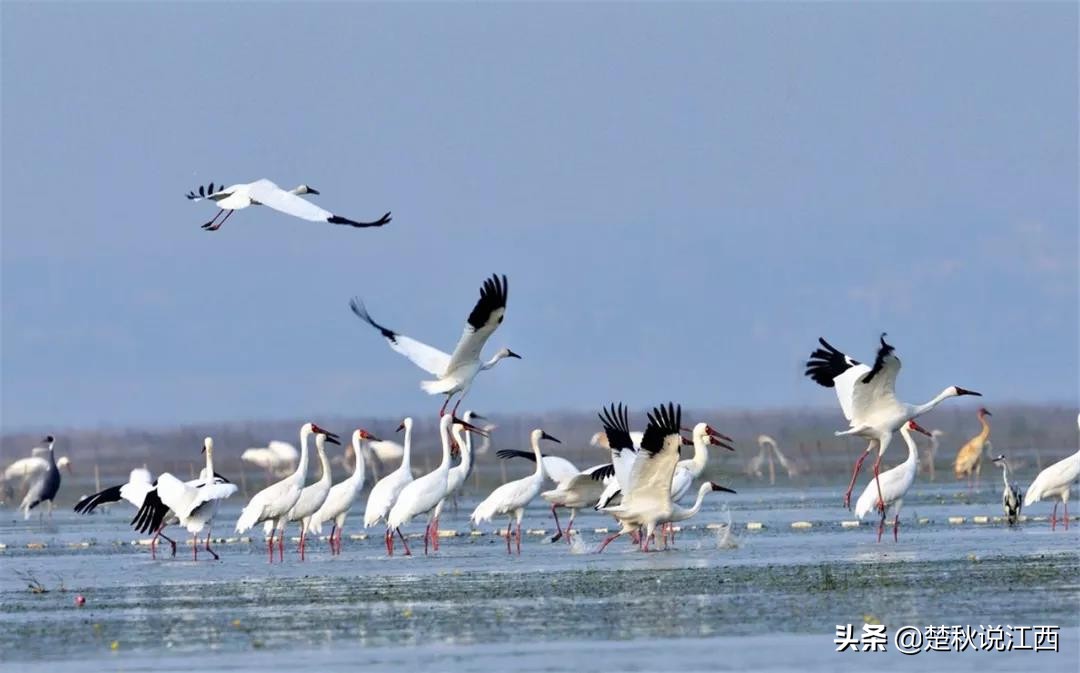 上饶属于市吗,上饶算是一个旅游城市吗