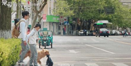 80万人想看，不只因为它凑齐半个娱乐圈