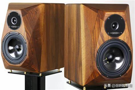 力与美的结合的舞蹈点评,力与美的结合说说