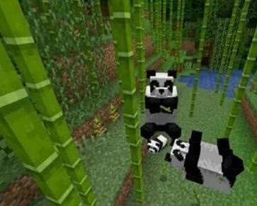 我的世界新版本1.16全方面介绍,我的世界新版本1.16详细介绍