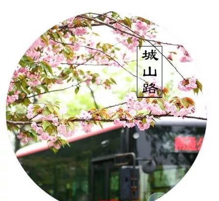 南通赏樱,江苏樱花景区介绍