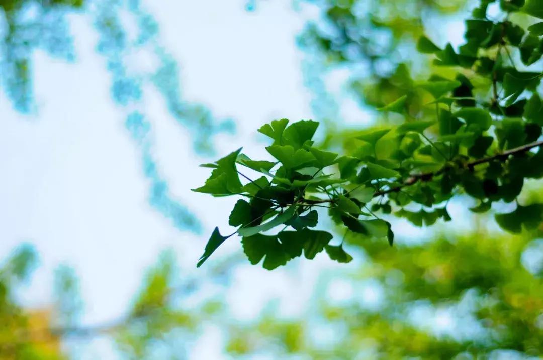 小暑至觅一处清凉守一处静,酷暑难耐寻一份心静觅一处清凉