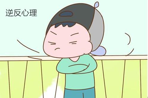 一看书就犯困怎么办怎么安慰,小学生一看书就犯困怎么办