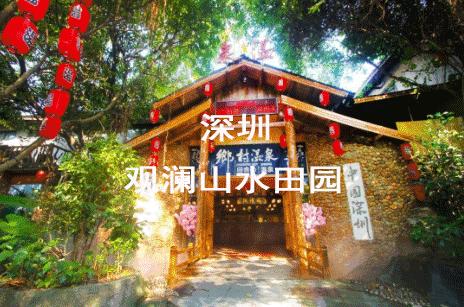 深圳市生日当天有什么福利,深圳生日福利攻略免费