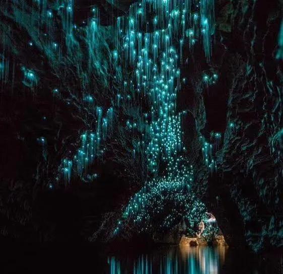 记忆中的旅行之新西兰(北岛)