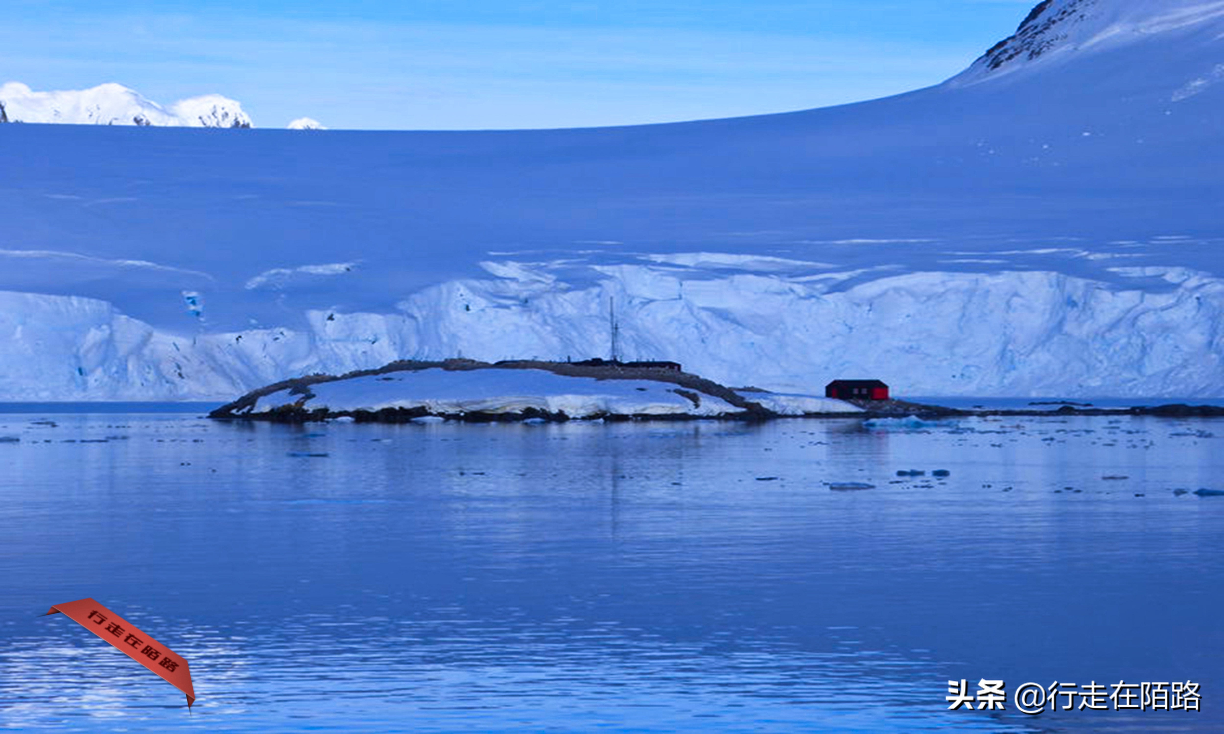 铲屎官的工资,铲屎官工资一天多少钱