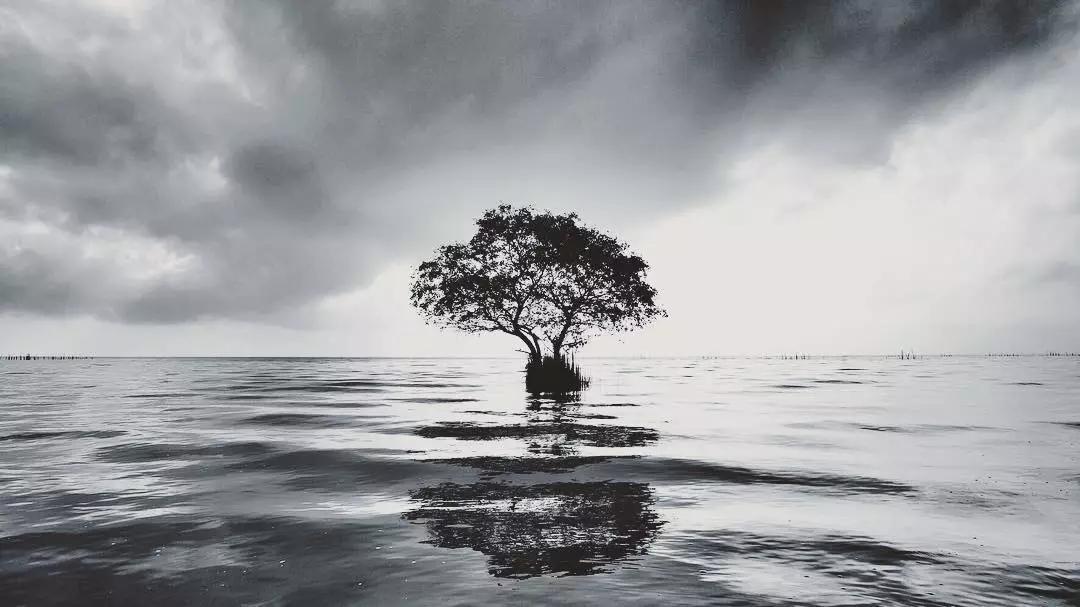 这些泰国明星的隐藏技能比专业厉害！好看皮囊和有趣灵魂真能共体