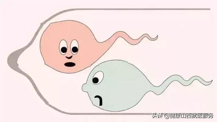 精子死精成活率低应怎么调理,精子是活的还是死的怎么判别