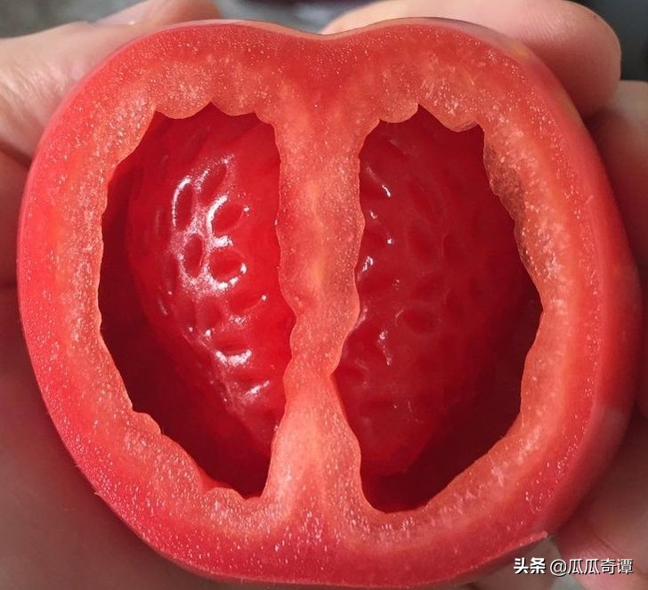 恶魔果实水果性能,恶魔果实图鉴108种属性