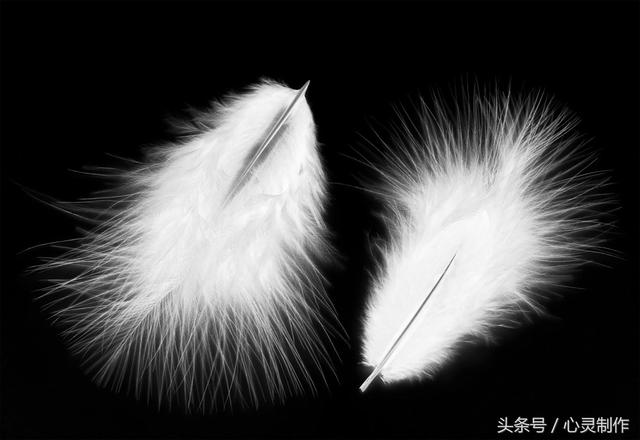 ps必学的100个技巧抠图教程,分享ps抠图十种方法教程详解