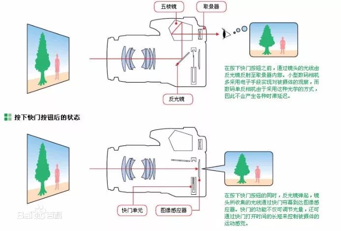 单镜头反光相机图片,最常见的相机有单镜头反光相机吗