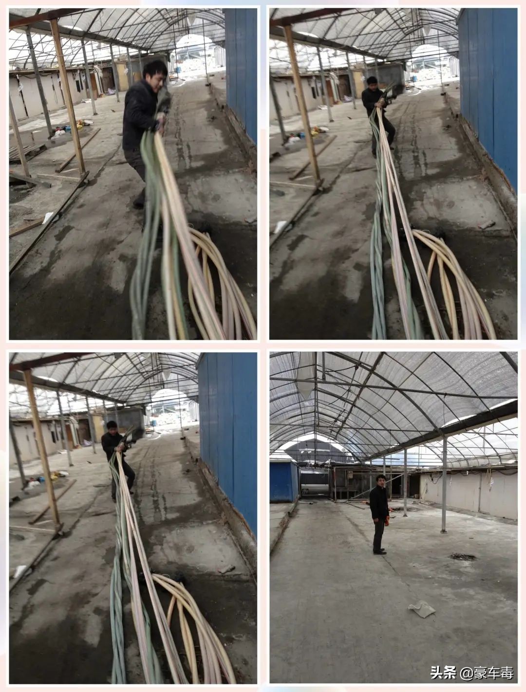 豪车毒老纪考斯特,豪车毒老纪小跟班