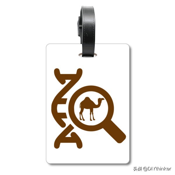 第一次出国行李箱要注意什么,出国旅游随身携带行李要求